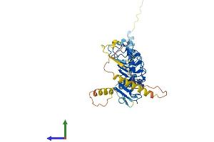 Protein Structure (PS) image for Leucine Rich Repeat Containing 2 (LRRC2) (AA 1-371) protein (His tag) (ABIN7549081)