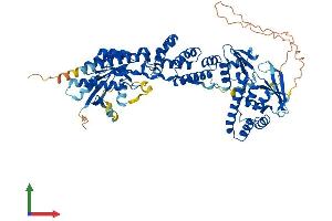 Protein Structure (PS) image for rho-Related BTB Domain Containing 1 (RHOBTB1) (AA 1-695) protein (His tag) (ABIN7561225)
