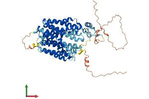 Protein Structure (PS) image for Synaptic Vesicle 2-Related Protein (SVOP) (AA 1-548) protein (His tag) (ABIN7544068)