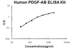 Human PDGF-AB PicoKine ELISA Kit standard curve (PDGF-AB Heterodimer ELISA 试剂盒)