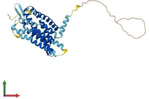 Protein Structure (PS) image for G Protein-Coupled Receptor 81 (GPR81) (AA 1-343) protein (His tag) (ABIN7559096)