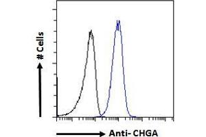 ABIN185645 Flow cytometric analysis of paraformaldehyde fixed A549 cells (blue line), permeabilized with 0. (Chromogranin A 抗体  (Internal Region))