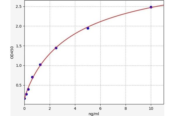 CA5B ELISA 试剂盒