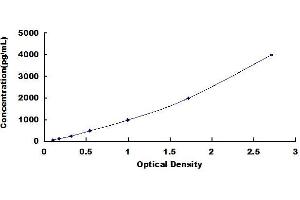 Typical standard curve