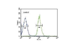 FGFR1 Antibody i FC analysis of MCF-7 cells (bottom histogram) compared to a negative control cell (top histogram). (FGFR1 抗体)