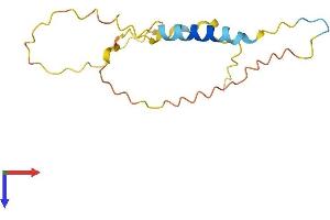 Thioredoxin Reductase 3 Neighbor (TXNRD3NB) (AA 1-133) protein (His tag)