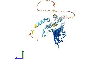 Protein Structure (PS) image for Solute Carrier Family 30 (Zinc Transporter), Member 7 (SLC30A7) (AA 1-376) protein (His tag) (ABIN7545770)