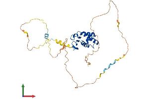 Protein Structure (PS) image for Protein Tob1 (TOB1) (AA 1-345) protein (His tag) (ABIN7544661)