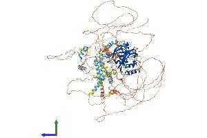 Protein Structure (PS) image for Period Circadian Protein 2 (PER2) (AA 1-1257) protein (His tag) (ABIN7562451)
