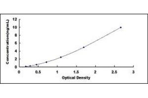 Typical standard curve (S100A16 ELISA 试剂盒)