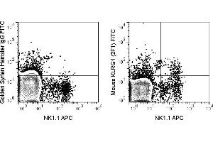 C57Bl/6 splenocytes were stained with APC Anti-Mouse NK1. (KLRG1 抗体  (FITC))