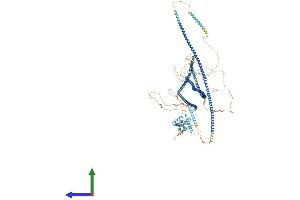 Protein Structure (PS) image for Coiled-Coil Domain Containing 88B (CCDC88B) (AA 1-1481) protein (His tag) (ABIN7563781)