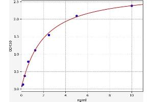 Secreted Frizzled-Related Protein 1 (SFRP1) ELISA Kit