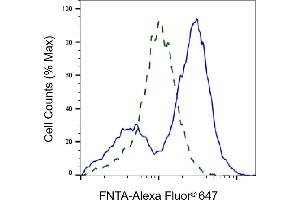 Flow cytometric analysis of FNTA expression in HepG2 cells using FNTA antibody (ABIN7798574), 1, (ABIN7798691). (Recombinant FNTA 抗体)