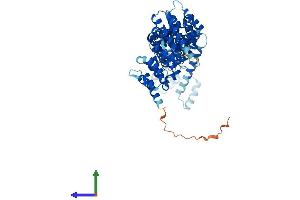 Protein Structure (PS) image for Cofactor of BRCA1 (COBRA1) (AA 1-580) protein (His tag) (ABIN7559142)