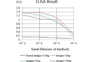 Black line: Control Antigen (100 ng),Purple line: Antigen (10 ng), Blue line: Antigen (50 ng), Red line:Antigen (100 ng) (Ataxin 1 抗体  (AA 645-815))