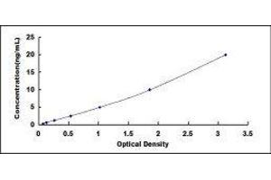 Aquaporin 4 (AQP4) ELISA Kit