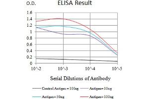 Black line: Control Antigen (100 ng),Purple line: Antigen (10 ng), Blue line: Antigen (50 ng), Red line:Antigen (100 ng) (PROCR 抗体  (AA 18-210))