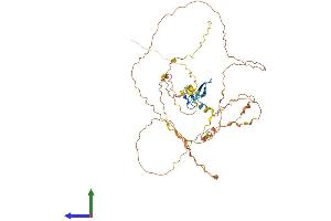 Protein Structure (PS) image for Family with Sequence Similarity 90, Member A1 (FAM90A1) (AA 1-464) protein (His tag) (ABIN7547614)