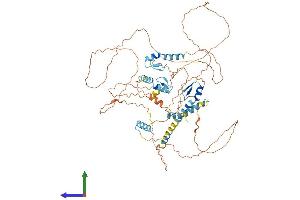 Protein Structure (PS) image for Zinc Finger, Matrin-Type 1 (ZMAT1) (AA 1-638) protein (His tag) (ABIN7545781)