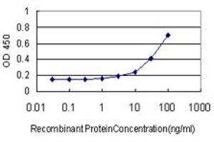 Detection limit for recombinant GST tagged RUNX2 is approximately 3ng/ml as a capture antibody. (RUNX2 抗体  (AA 251-350))