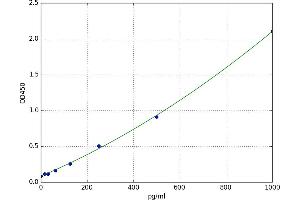Matrix Gla Protein (MGP) ELISA Kit
