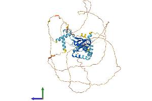 Protein Structure (PS) image for Cleavage Stimulation Factor, 3' Pre-RNA, Subunit 2, 64kDa, tau Variant (CSTF2T) (AA 1-616) protein (His tag) (ABIN7546841)