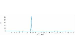 anti-Tumor Necrosis Factor (Ligand) Superfamily, Member 12 (TNFSF12) antibody