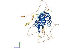 Protein Structure (PS) image for RAP1 GTPase Activating Protein (RAP1GAP) (AA 1-663) protein (His tag) (ABIN7561934)