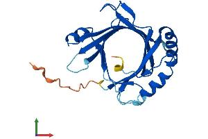 Protein Structure (PS) image for Mediator Complex Subunit 18 (MED18) (AA 1-208) protein (His tag) (ABIN7560775)