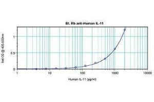 Image no. 1 for anti-Interleukin 11 (IL11) antibody (Biotin) (ABIN465008) (IL-11 抗体  (Biotin))