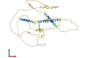 Protein Structure (PS) image for Immediate Early Response 5-Like (IER5L) (AA 1-406) protein (His tag) (ABIN7560298)