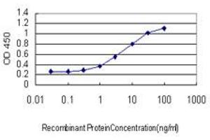 Detection limit for recombinant GST tagged C4B is approximately 0. (C4B 抗体  (AA 1347-1446))