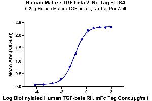 Immobilized Human Mature TGF beta 2, No Tag at 2 μg/mL (100 μL/Well) on the plate. (TGFB2 Protein (AA 303-414))