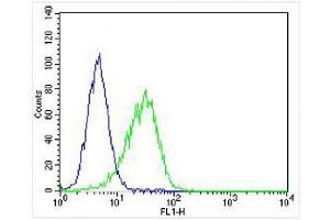 Flow Cytometry (FACS) image for anti-Proteasome (Prosome, Macropain) Subunit, beta Type, 9 (Large Multifunctional Peptidase 2) (PSMB9) (AA 205-239), (C-Term) antibody (ABIN6243739)
