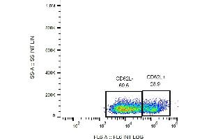 Flow cytometry analysis (surface staining) of human peripheral blood cells with anti-CD62L (LT-TD180) APC. (L-Selectin 抗体  (APC))