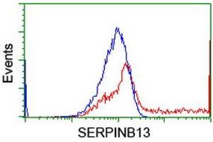 HEK293T cells transfected with either RC211032 overexpress plasmid (Red) or empty vector control plasmid (Blue) were immunostained by anti-SERPINB13 antibody (ABIN2455118), and then analyzed by flow cytometry. (SERPINB13 抗体)