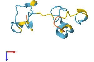 MT3 Protein (AA 1-68) (Fc Tag)