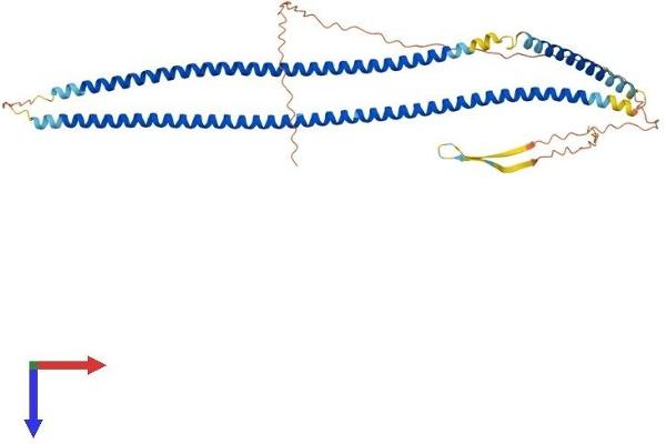 Keratin 26 Protein (KRT26) (AA 1-462) (His tag)