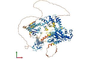 AlphaFold protein structure predicition of Mouse Recombinant Gtf2ird2 Protein, UniprotID Q99NI3