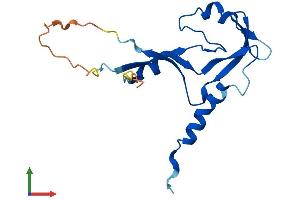 Protein Structure (PS) image for Ribonuclease H2, Subunit C (RNASEH2C) (AA 1-164) protein (His tag) (ABIN7551498)
