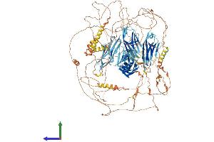 Protein Structure (PS) image for Palladin, Cytoskeletal Associated Protein (PALLD) (AA 1-1408) protein (His tag) (ABIN7565070)