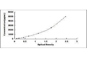 Typical standard curve (BMP1 ELISA 试剂盒)