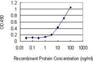 Detection limit for recombinant GST tagged KLK1 is 0. (Kallikrein 1 抗体  (AA 168-262))