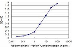 Detection limit for recombinant GST tagged MARCKS is approximately 0. (MARCKS 抗体  (AA 2-65))