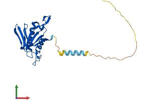 Protein Structure (PS) image for D-Tyrosyl-tRNA Deacylase 1 Homolog (S. Cerevisiae) (DTD1) (AA 1-209) protein (His tag) (ABIN7547239)