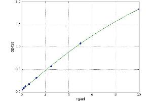 Sulfatase 2 (SULF2) ELISA Kit