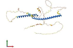 AlphaFold protein structure predicition of Human Recombinant TFEC Protein, UniprotID O14948