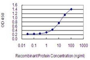 Detection limit for recombinant GST tagged MYO6 is 0. (Myosin VI 抗体  (AA 1188-1285))