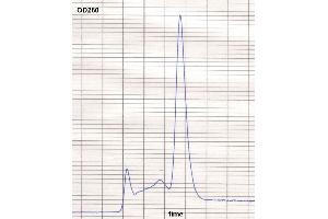 product purity: gel permeation chromatography (Superose 12/HR) (小鼠 anti-人 IgE Antibody (Biotin))